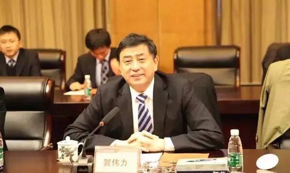 賀偉力 賀偉力