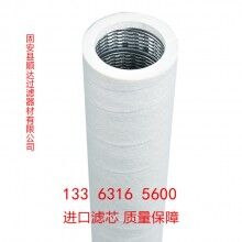 替代褶皺煤漿氣體過(guò)濾器原件 TE100H13